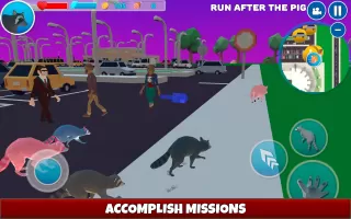 Raccoon Adventure Simulator 3D