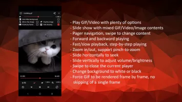 GIF Player - OmniGIF