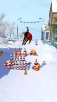 Ski Master 3D