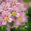 Noha Ahmed