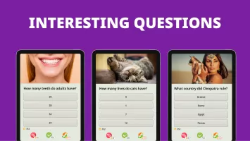 QuizzLand. Quiz & Trivia game