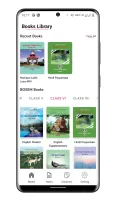 BOSEM eBook