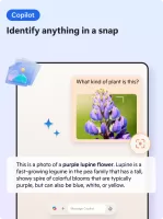 Microsoft Edge