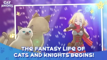 Cat & Knights