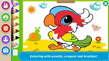 Coloring Book