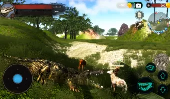 The Crocodile
