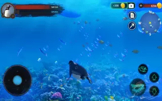 The Penguin