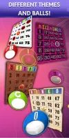 Bingo - Offline Bingo Game