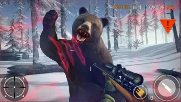 Deer Hunting