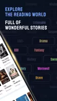 NovelCat