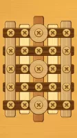 Screw Puzzle