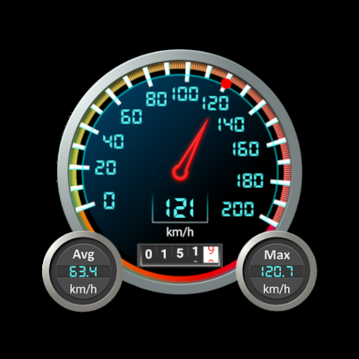 DS Speedometer & Odometer