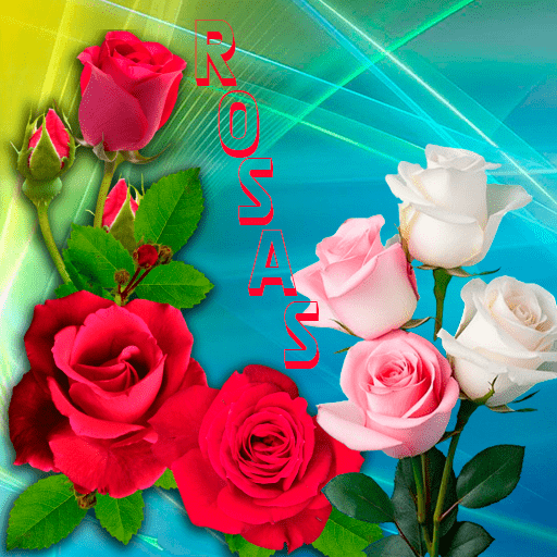 Rosas con frases para dedicar