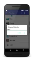 Bluetooth Files Share