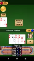 Cribbage Pro