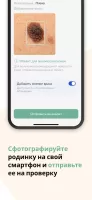 Prorodinki
