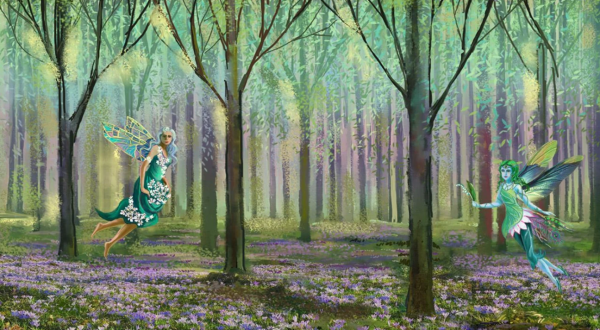 Fairy Party