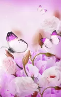 Butterfly Live Wallpaper