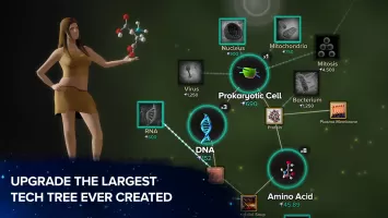 Cell to Singularity: Evolution