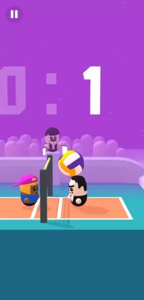 Volleyball Game - Volley Beans