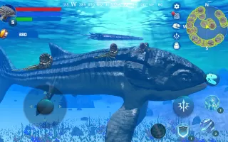 Leedsichthys Simulator