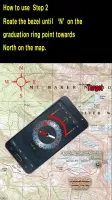 Real Compass