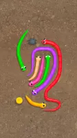 Snake Knot: Sort Puzzle Game