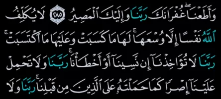 القرآن الكريم كامل بدون انترنت