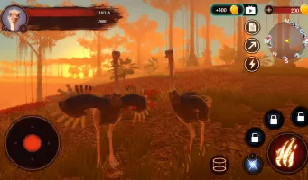 The Ostrich