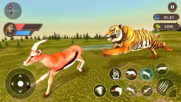 Tiger Simulator