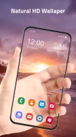 Live Wallpaper Transparent