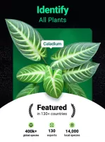 Plantum - Plant Identifier