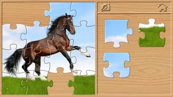 Animal Puzzles for Kids