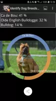 Identify Dog Breeds