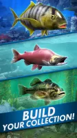 Go Fishing! Fish Game