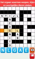 Kruiswoordpuzzels Nederlands