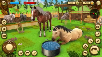 Wild Horse Games Survival Sim