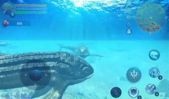 Leedsichthys Simulator