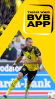 BVB