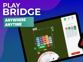 Fun Bridge