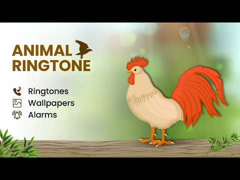 Animal Ringtones & Wallpapers App