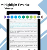 NIV Bible