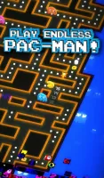 PAC-MAN 256