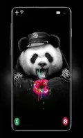 Cute Panda Wallpaper