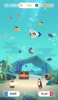 Puzzle Aquarium