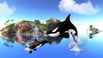 The Killer Whale