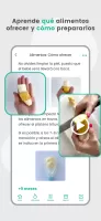 BLW Ideas
