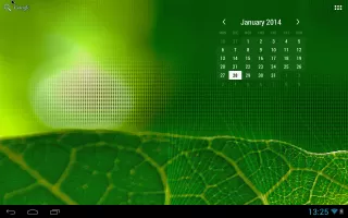 Month Calendar Widget