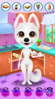 Simba The Puppy - Daily Caring
