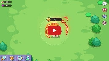Wild Survival